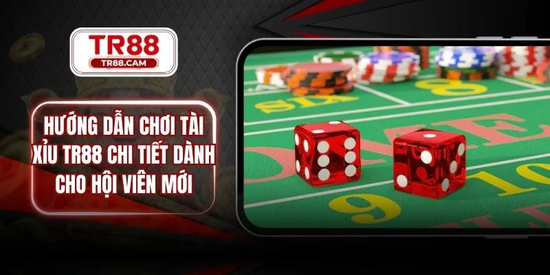 hướng dẫn chơi Tài Xỉu TR88